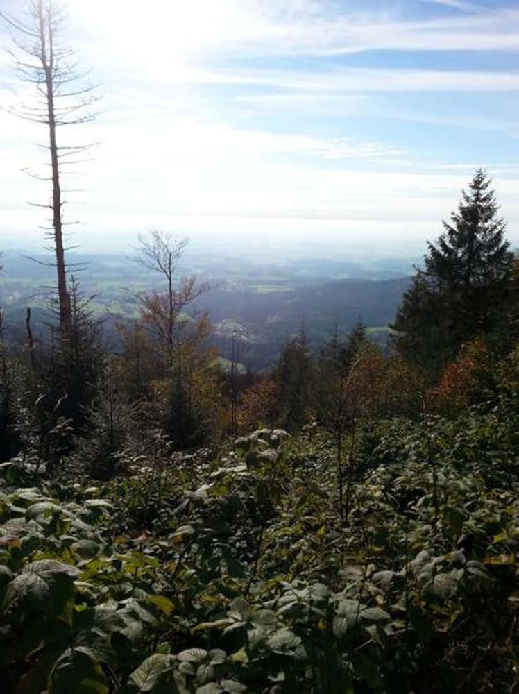 Hiking