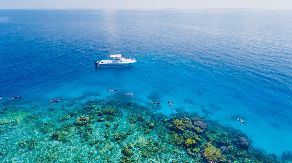 Snorkeling Tour