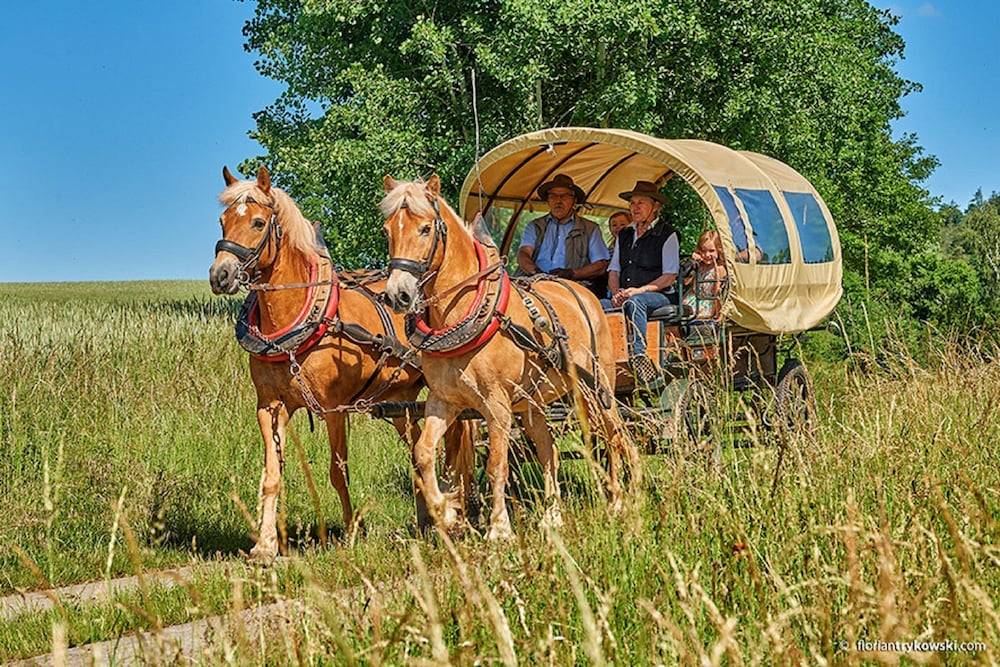 Horseback riding