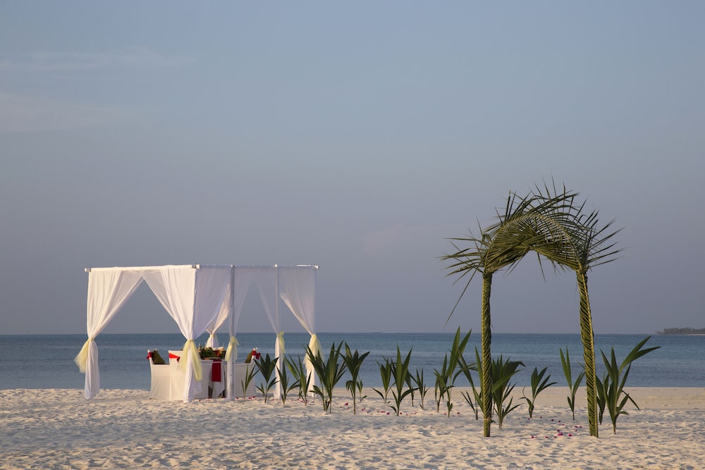 Outdoor wedding area