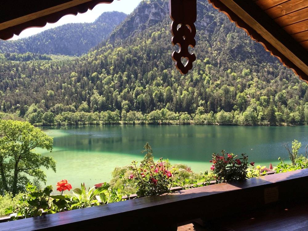 Lake view