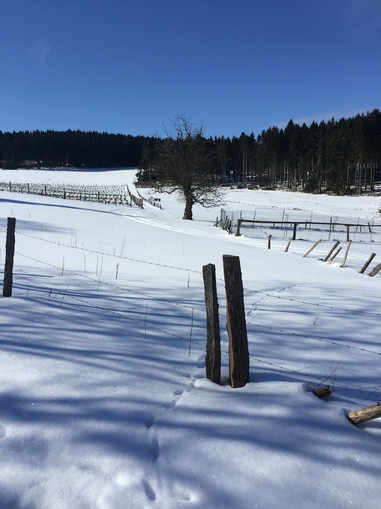 Snowshoeing