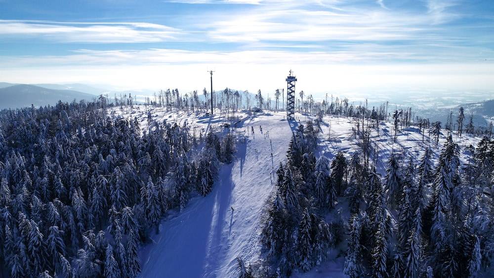 Snowshoeing
