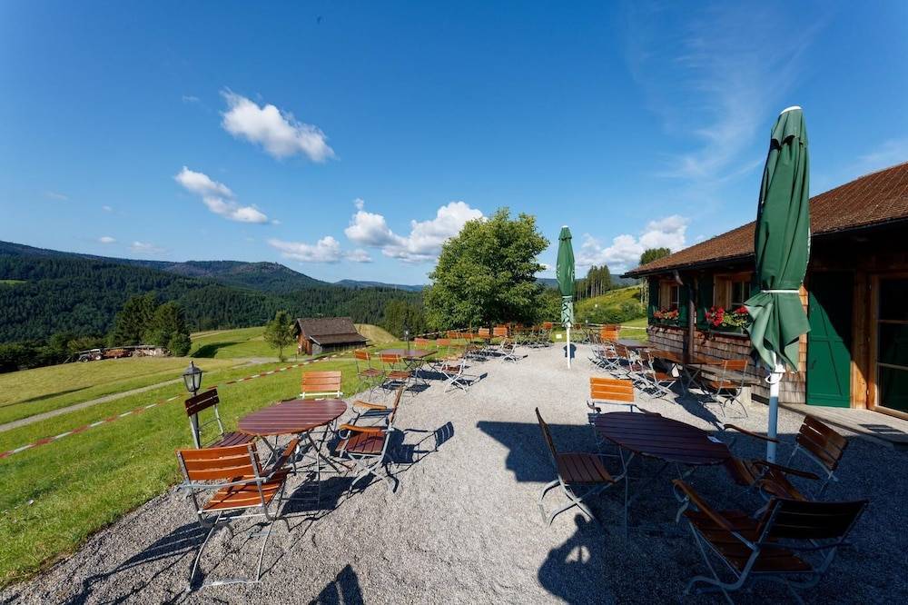 Land view from property