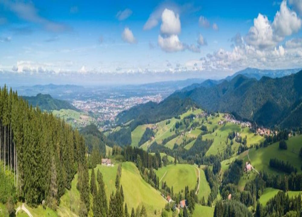 View from property