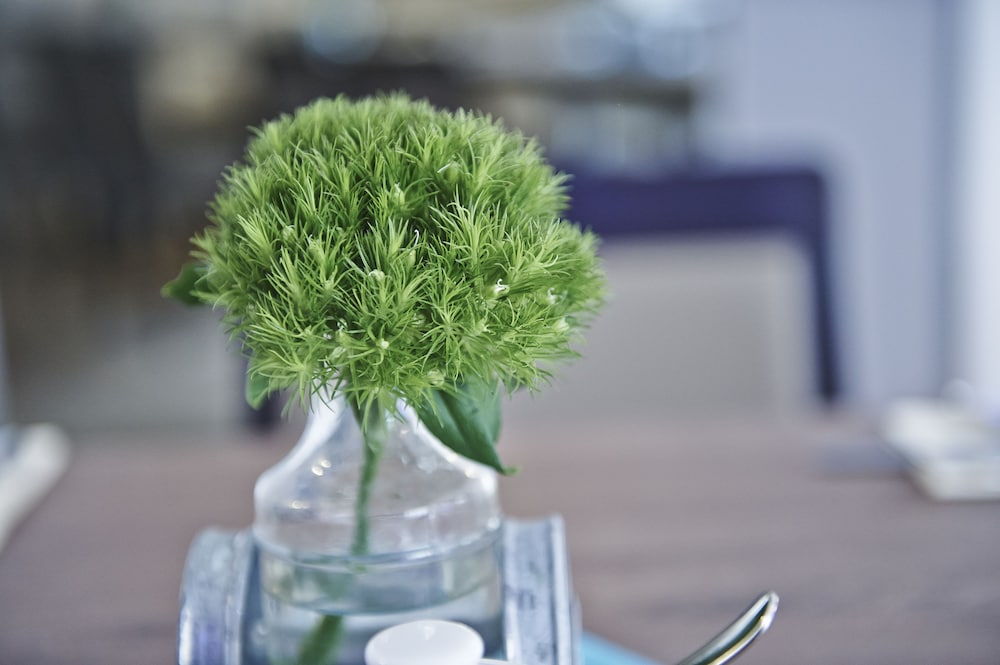 Indoor Wedding