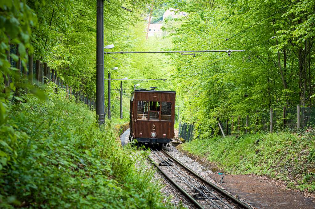 ArthotelANANeotelStuttgart Nearbyattractions