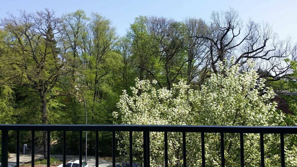 View from Hotel