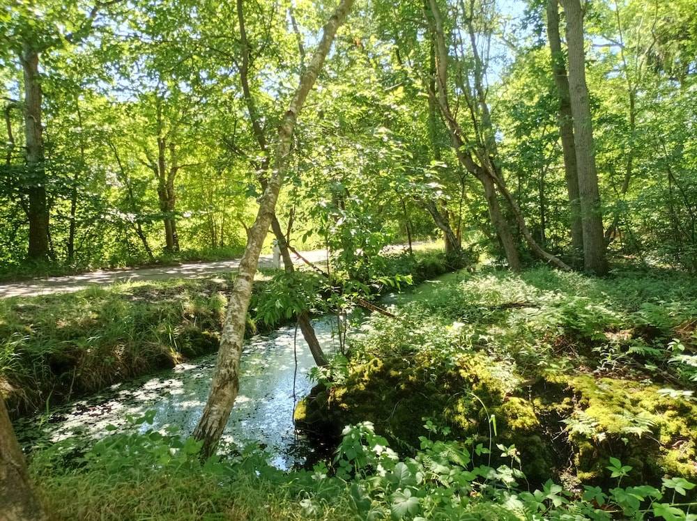 Land view from property