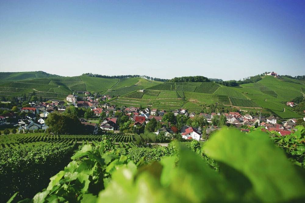 Land view from property
