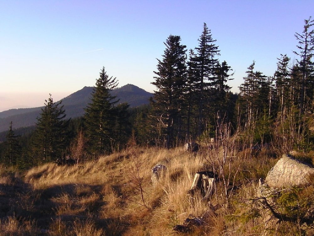 Hiking