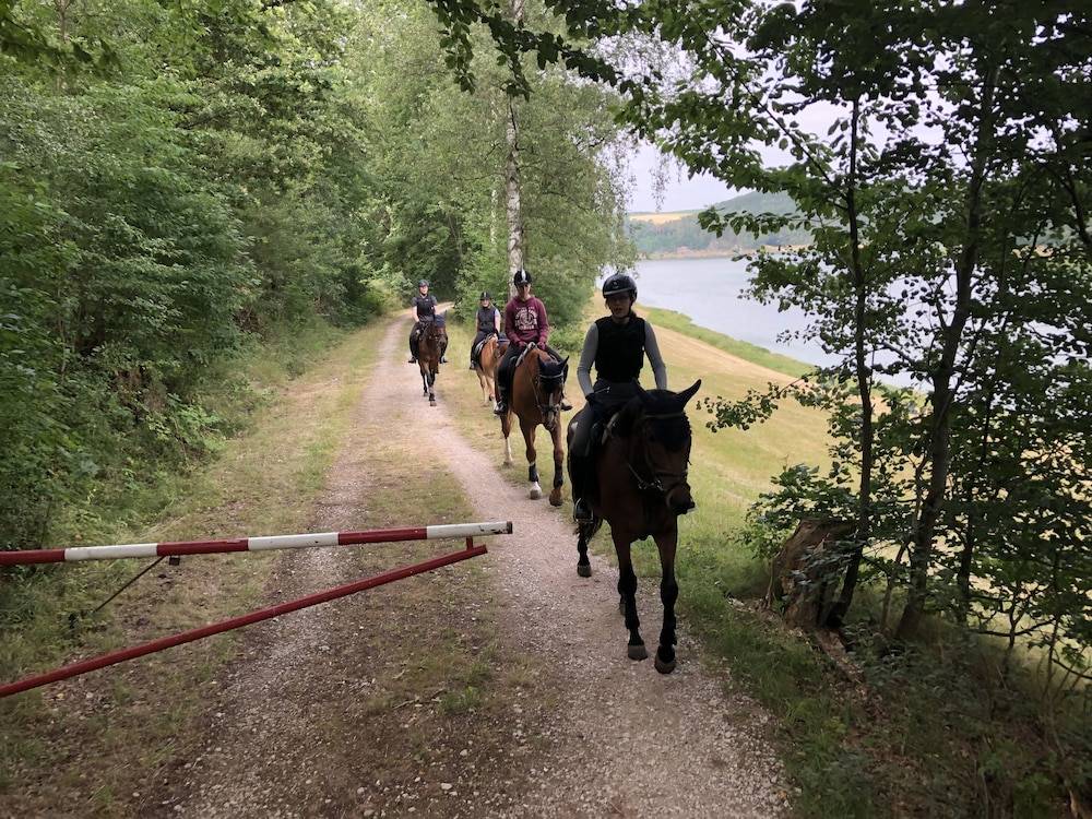 Horseback riding