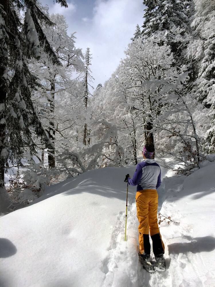 Snowshoeing