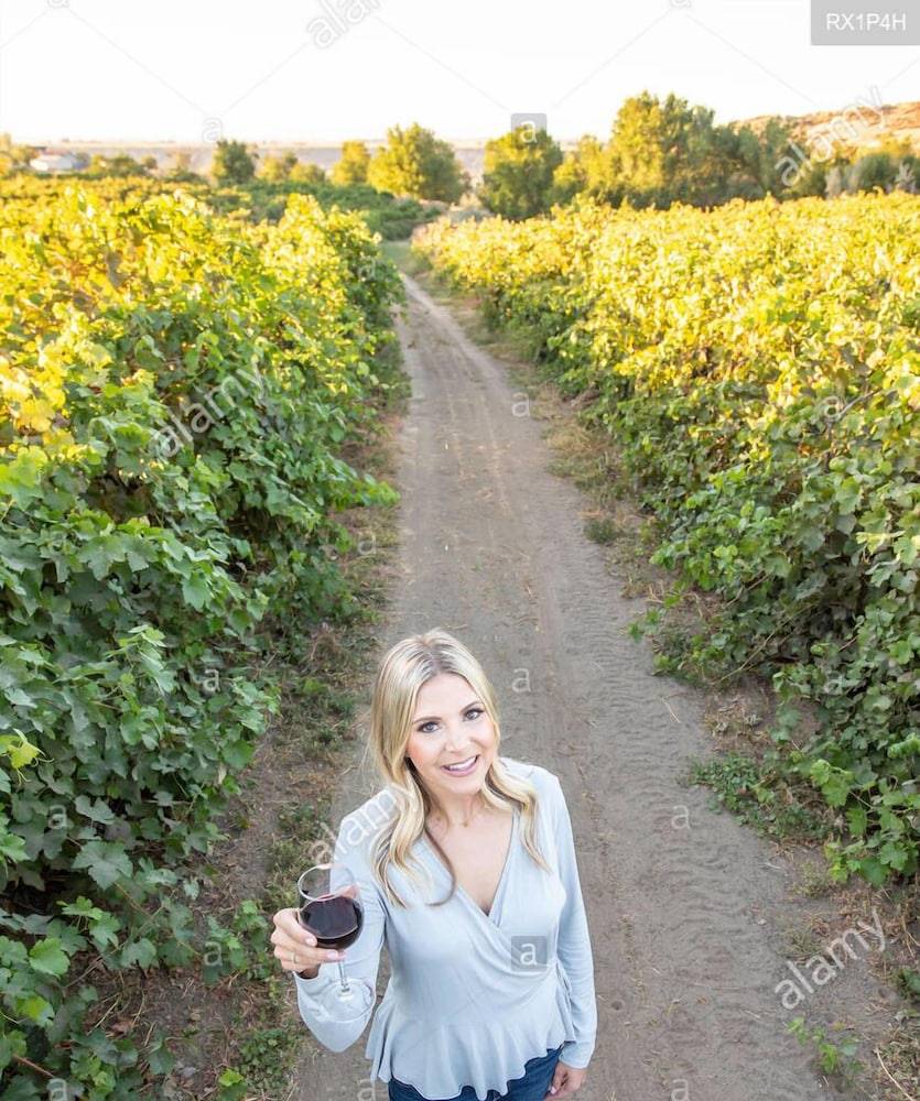 Vineyard