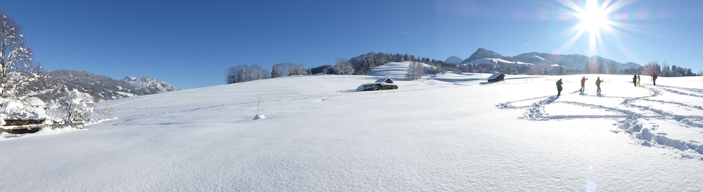 Snowshoeing