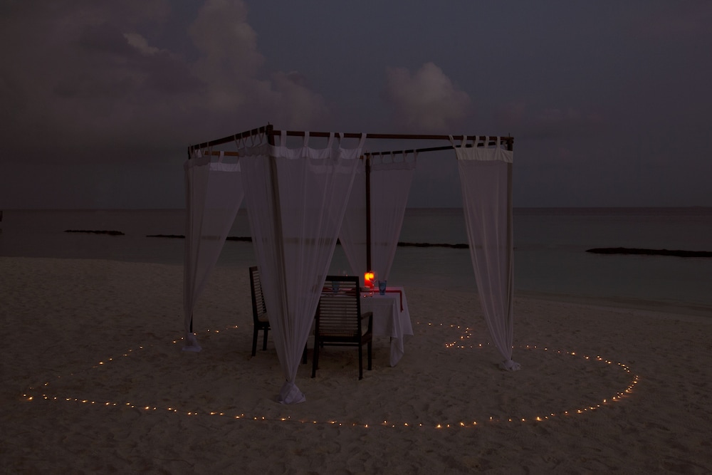 Couples dining