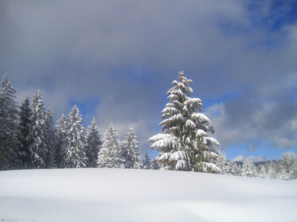 Snowshoeing