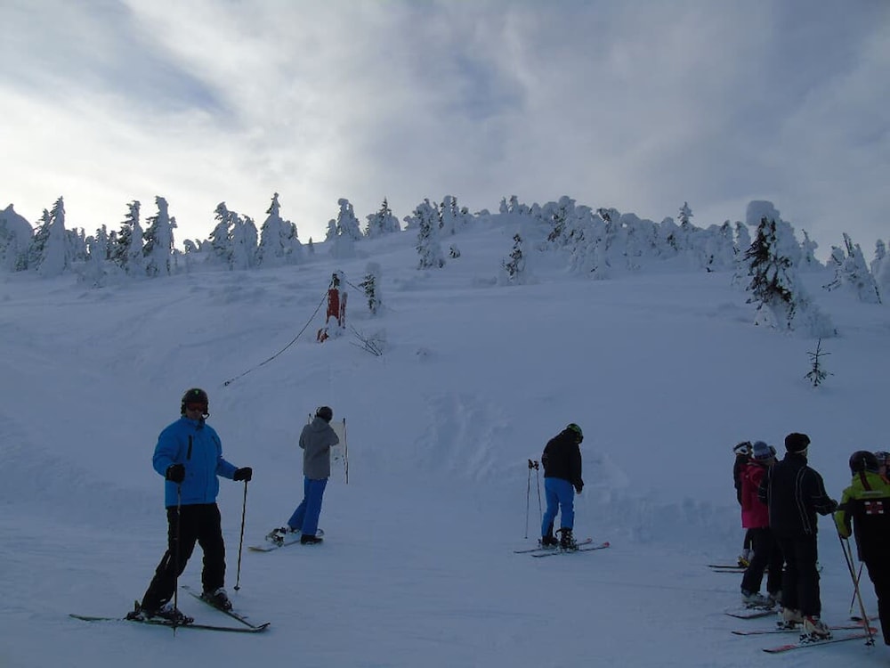 Snow and ski sports