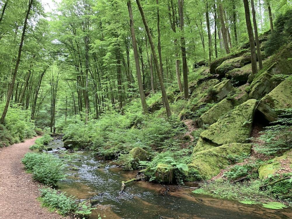 Hiking