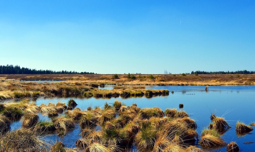 Land view from property