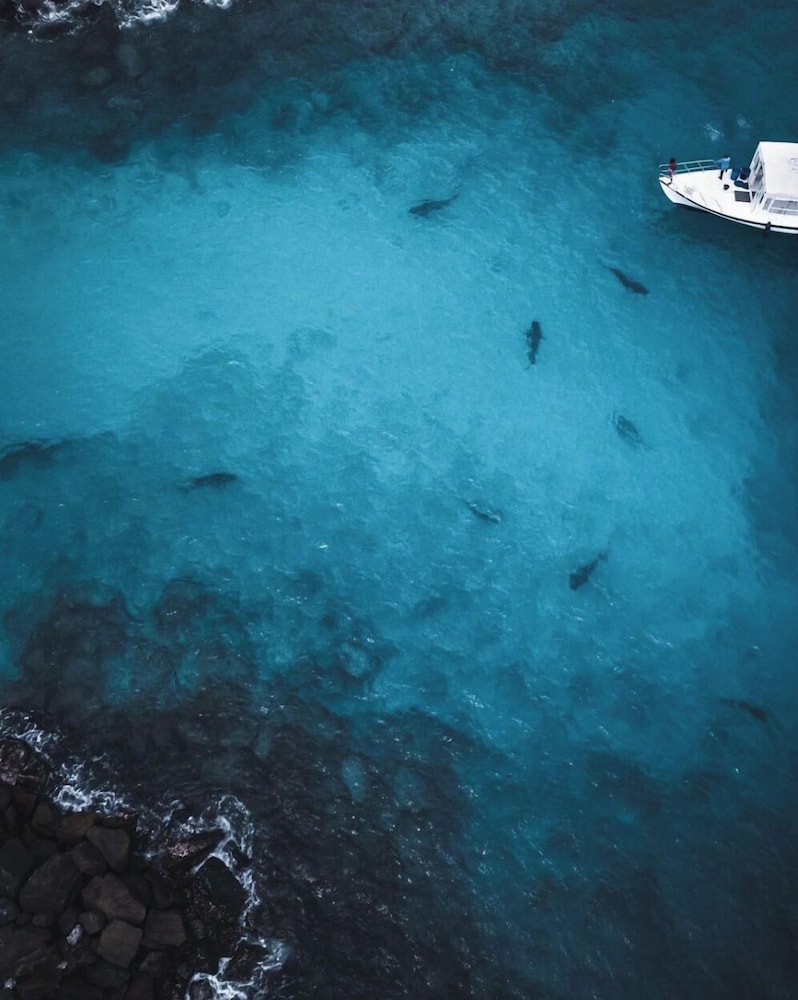 Kayaking