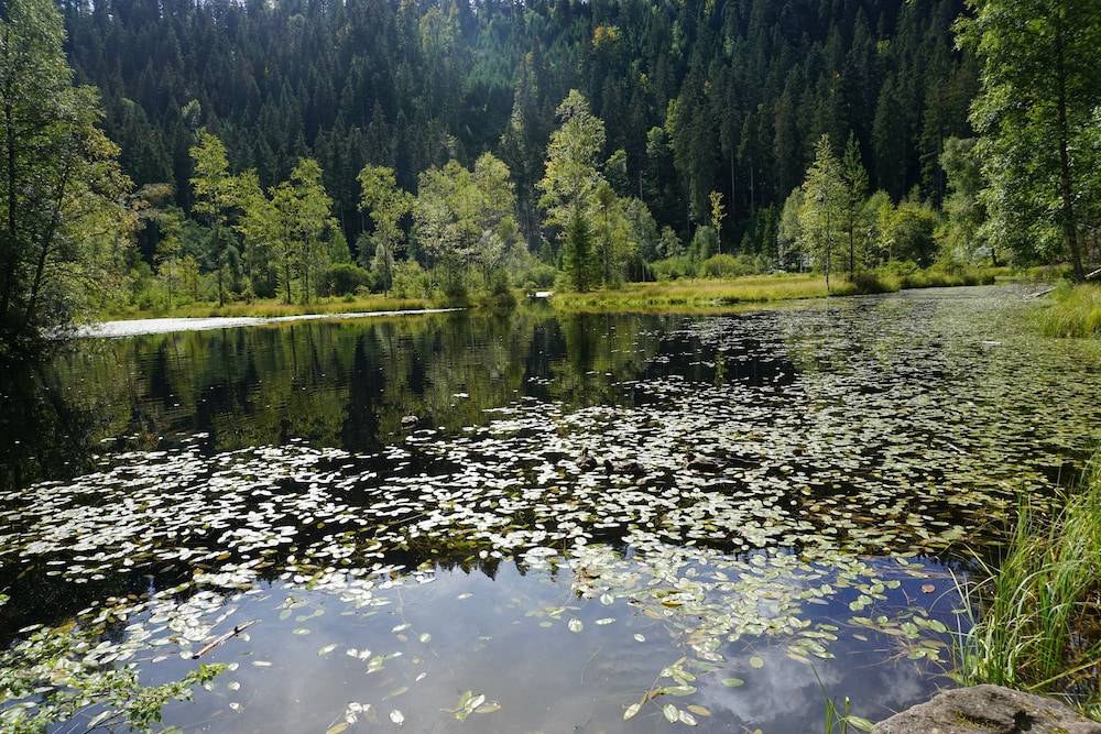 Lake