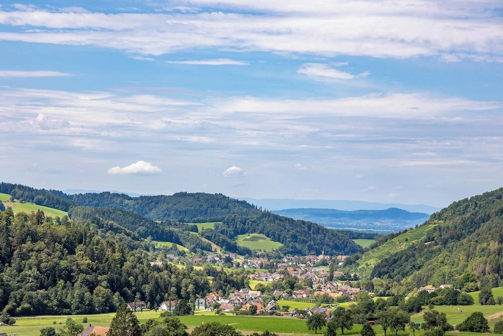 Land view from property