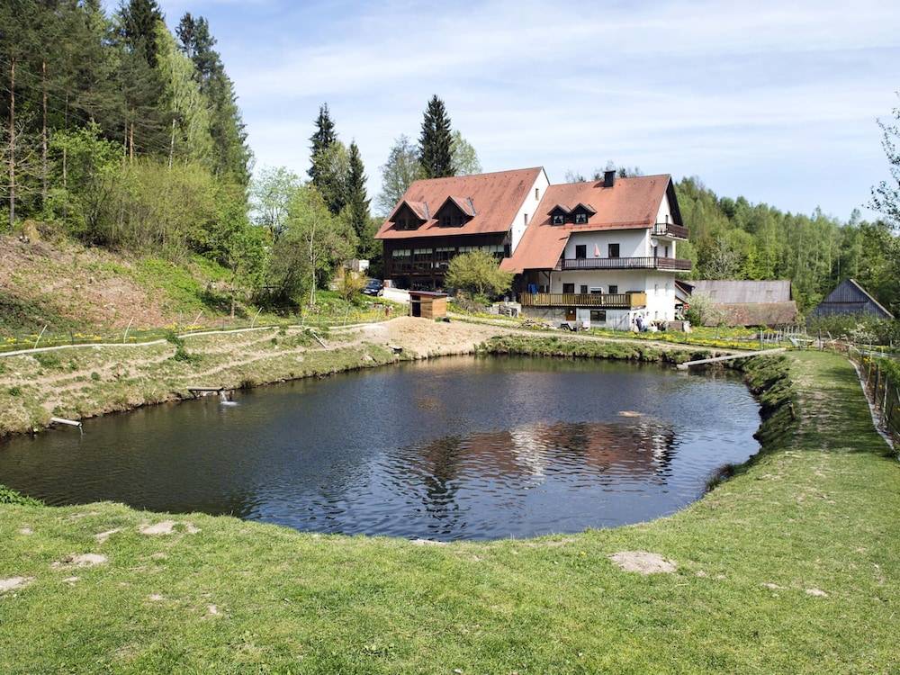 Primary image