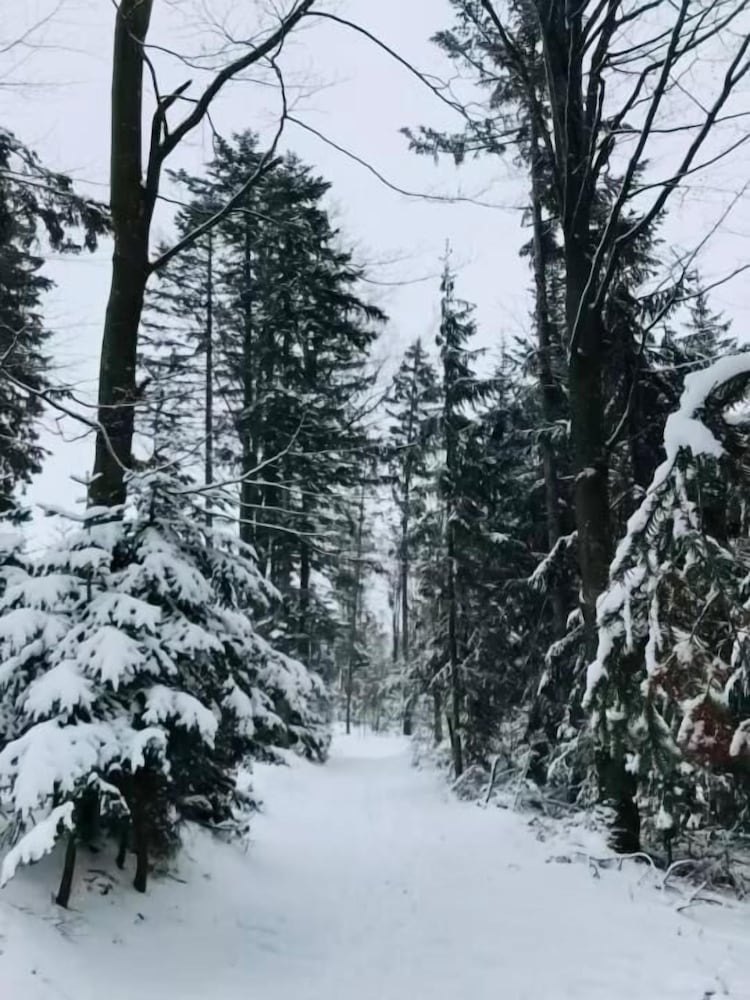Land view from property