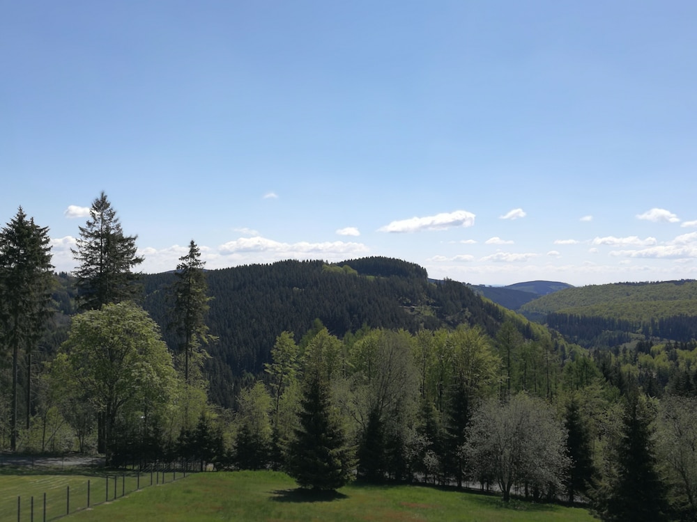 View from room