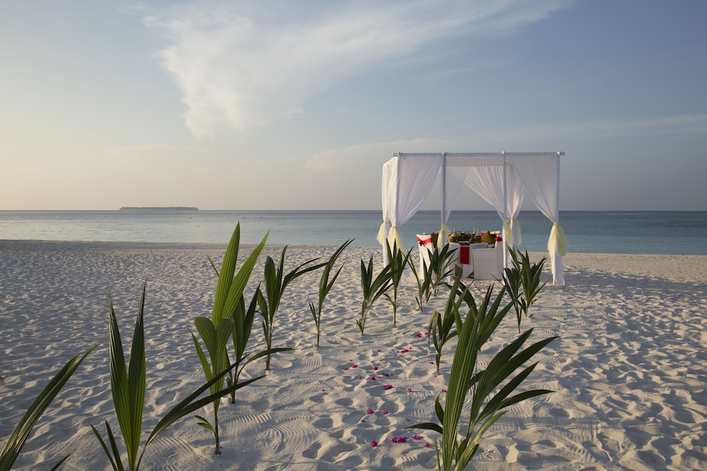 Outdoor wedding area