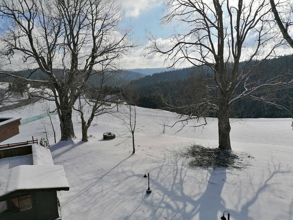 Land view from property