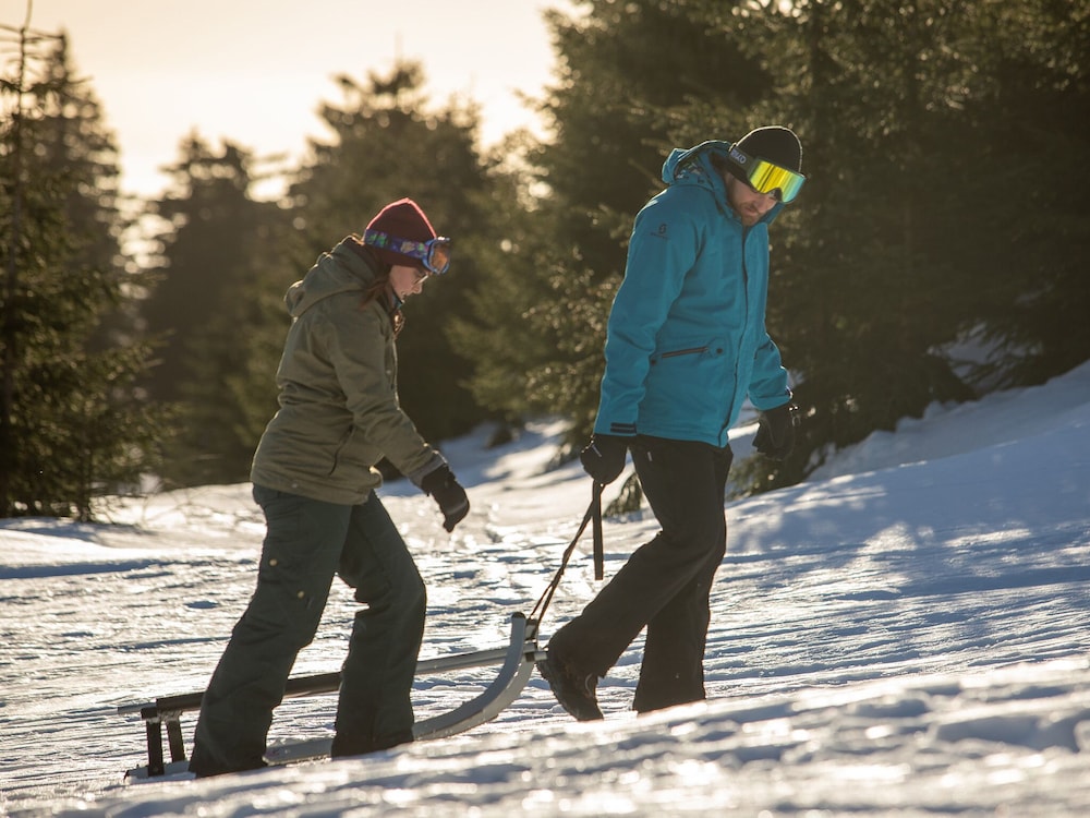 Sledding