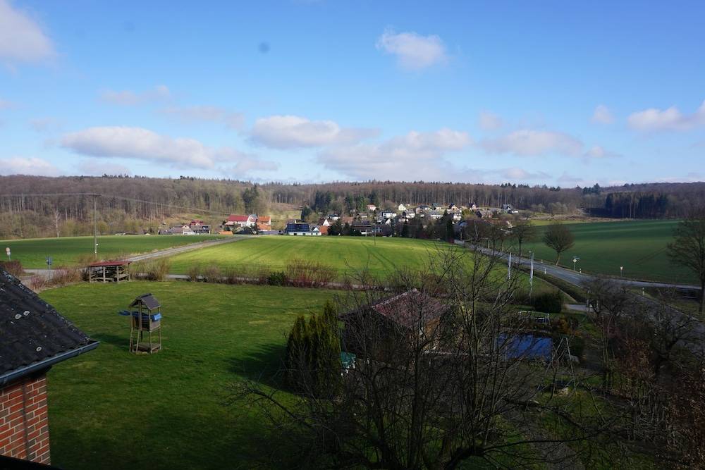 Garden view