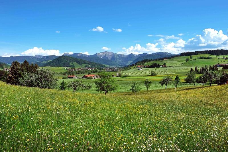 General view