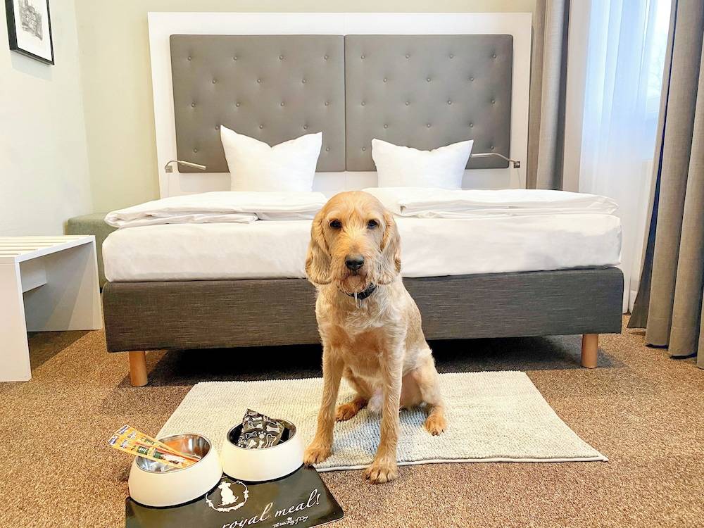 Pet-friendly amenities