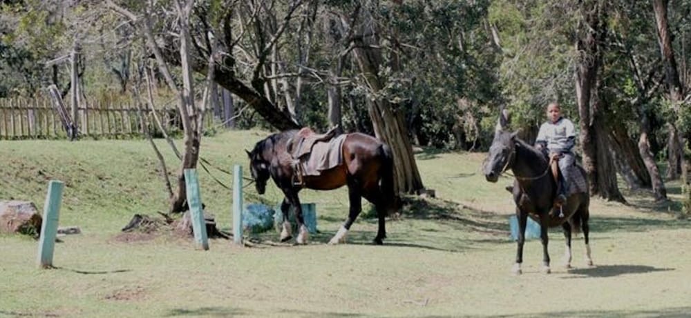 Horseback riding