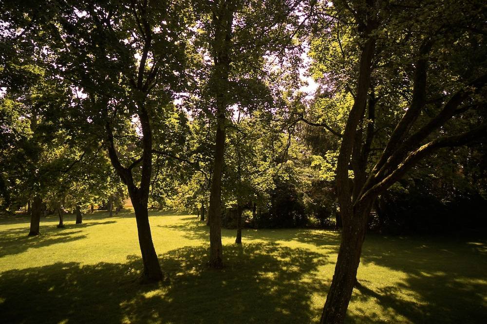 Park view