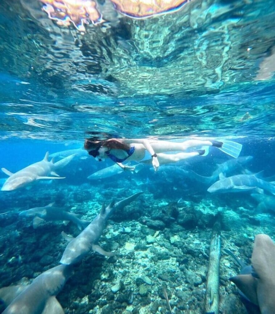 Fishing