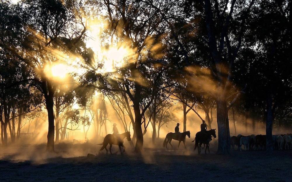 Horseback riding