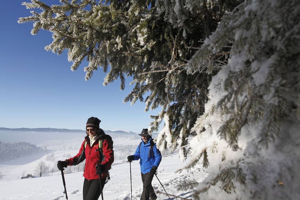 Snowshoeing