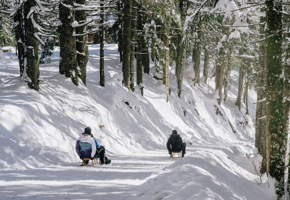 Sledding