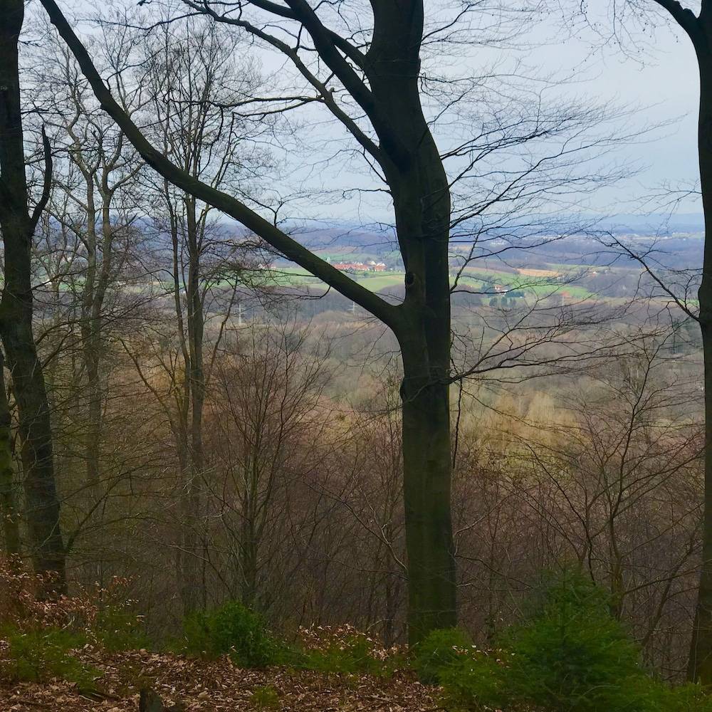 Hiking