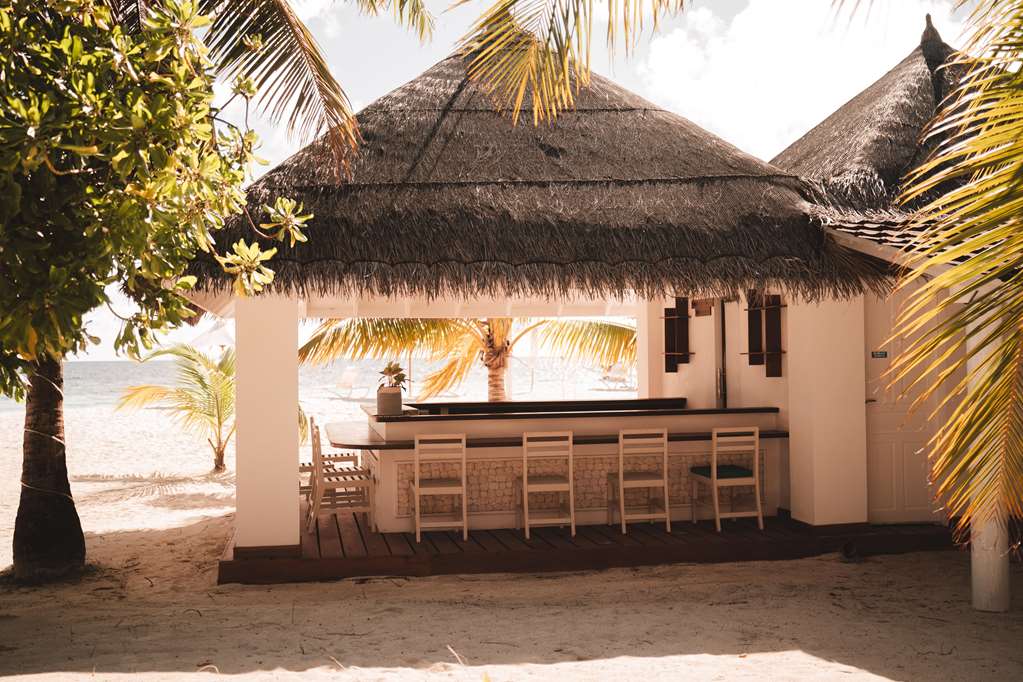 Bar/Lounge