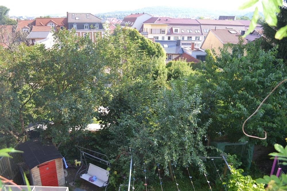 View from room