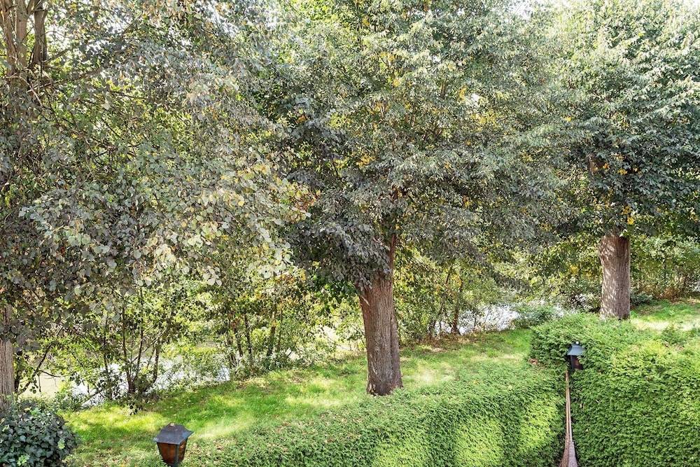 Park view