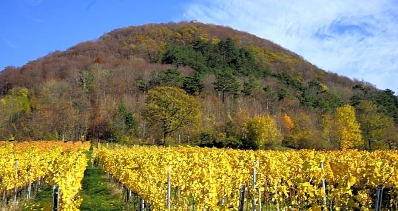 General view