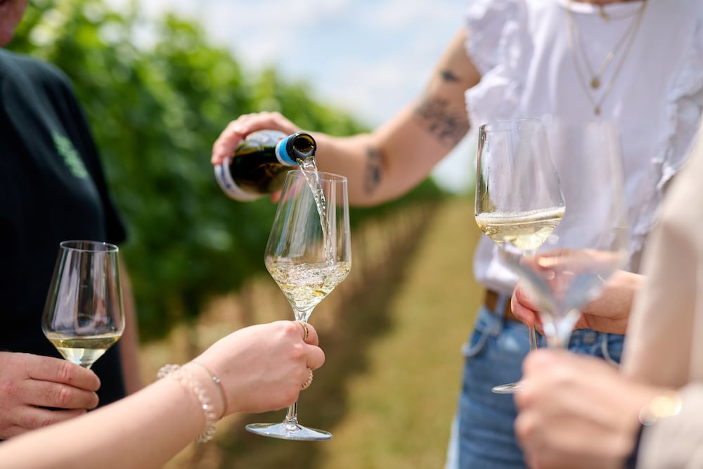 Vineyard