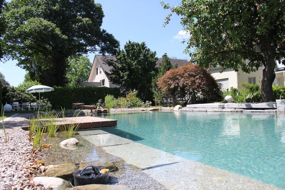 Natural pool
