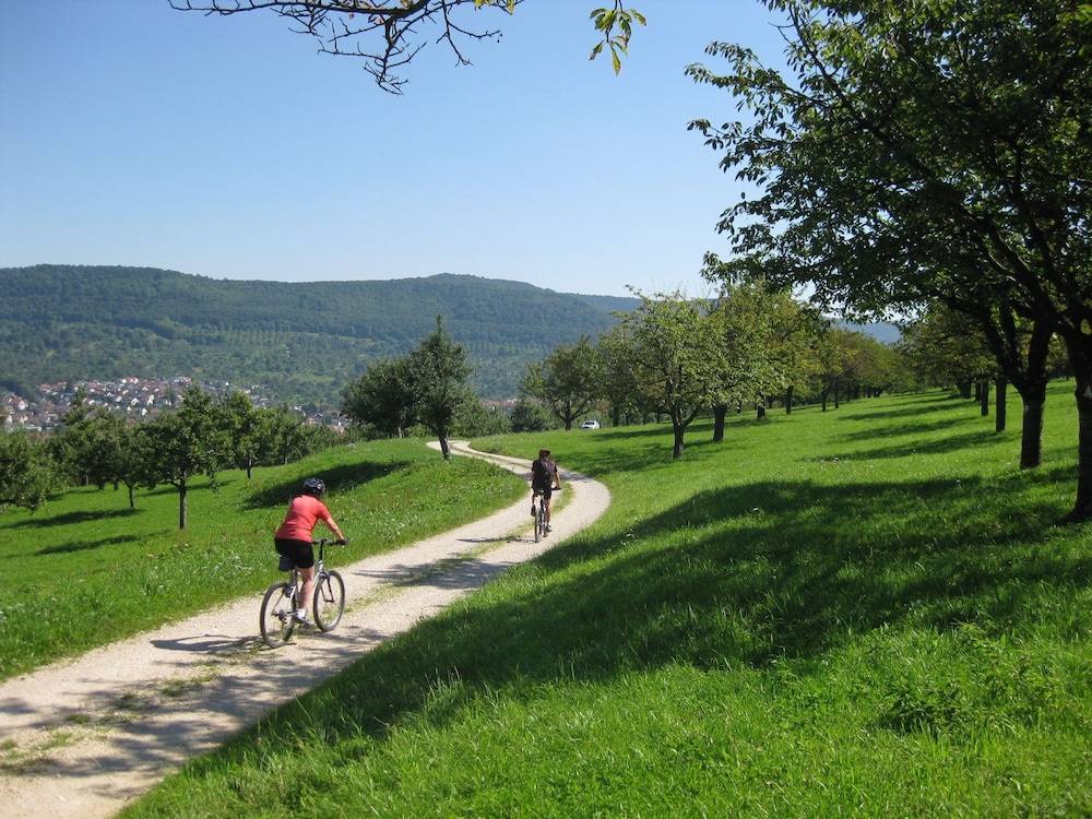 Bicycling